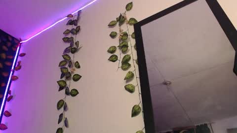  niakat  online show from 04.09.26