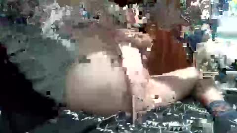 nic2nite online show from 02.04.26