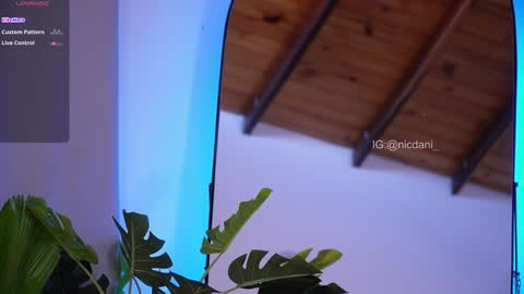 Snapshot of nicdani_1 chatting on 01.18.25 Dani 3 online show from 01.18.25