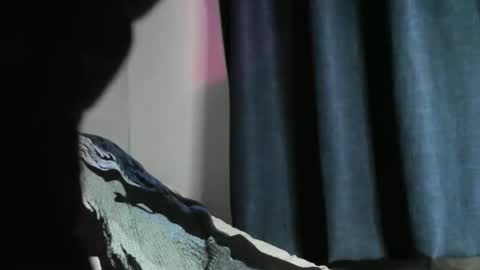 Black Tarzan online show from 12.22.24