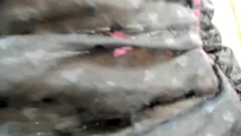 Snapshot of nicesweetwap chatting on 10.26.25 Bianca online show from 10.26.25