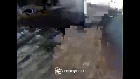 Nick online show from 02.20.26