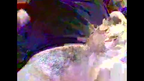 Nickyfruit online show from 10.30.25