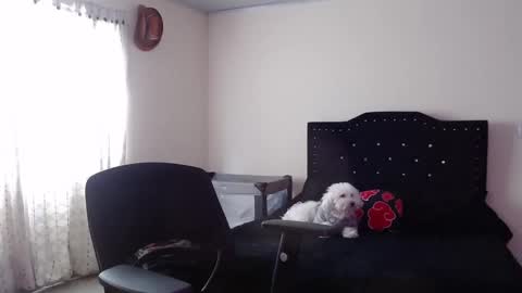 Nicole online show from 11.20.25