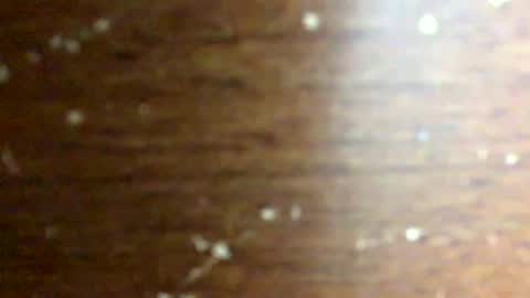 Snapshot of nightmoves1970 chatting on 02.18.26 nightmoves1970 online show from 02.18.26