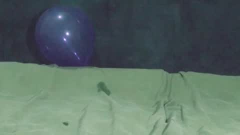 Snapshot of nightqueen69 chatting on 11.17.25 Watch us Fuck online show from 11.17.25