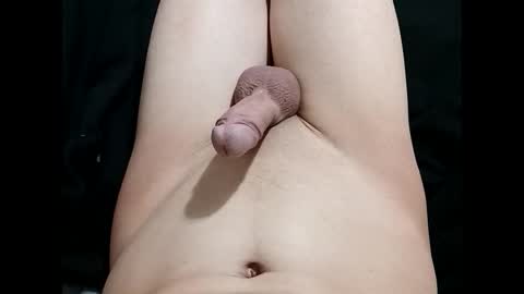 niicecockboi online show from 04.02.26