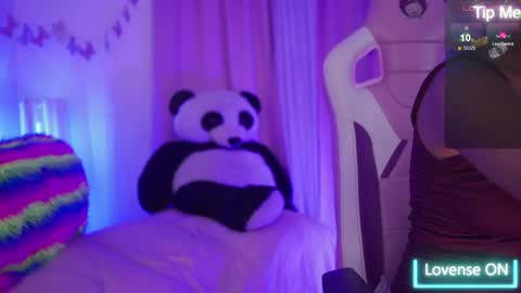 NIKERLY online show from 04.29.26