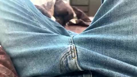 Snapshot of nikk3032 chatting on 02.25.25 NIk online show from 02.25.25