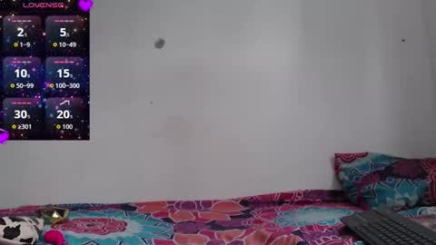 nikki_uwu online show from 12.14.25