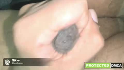 NikkynickGooner online show from 12.16.25