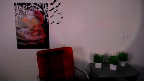 Snapshot of nikonara_ chatting on 02.12.25 nikonara_ online show from 02.12.25