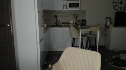 Bella online show from 02.21.26