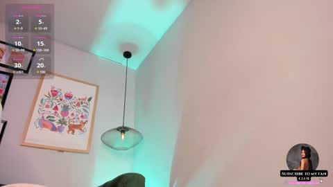 Snapshot of nina__dixon chatting on 02.19.25 Nina online show from 02.19.25