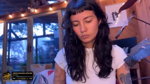 Nina.  online show from 02.13.26