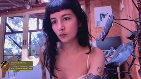Snapshot of nina_just chatting on 05.11.26 Nina. online show from 05.11.26