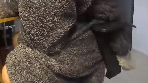 nineinchhard online show from 12.05.24