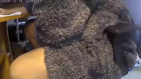 nineinchhard online show from 12.19.24