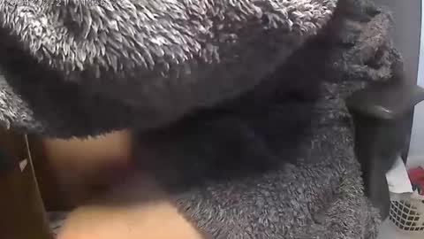 nineinchhard online show from 12.21.24