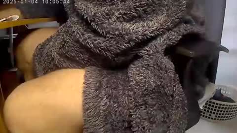 nineinchhard online show from 01.04.25