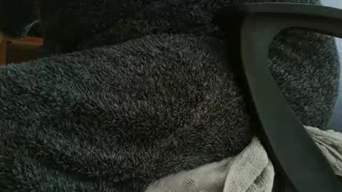 nineinchhard online show from 10.12.25