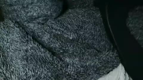 nineinchhard online show from 11.28.25