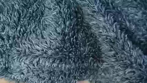 nineinchhard online show from 02.19.26