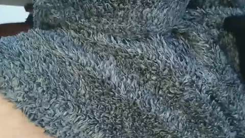 nineinchhard online show from 04.06.26