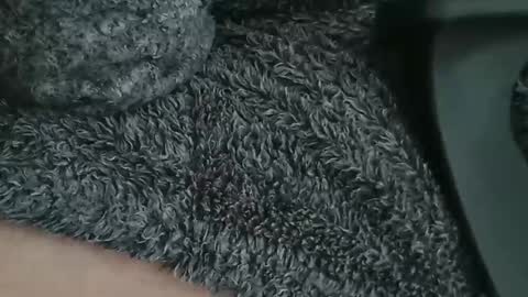 nineinchhard online show from 04.09.26