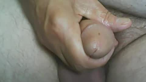 nip804070 online show from 09.30.25