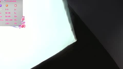 Snapshot of nixiesterling chatting on 07.19.26 Nixie online show from 07.19.26