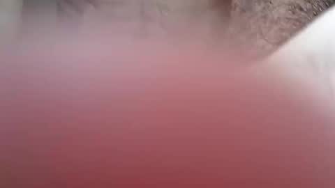 nkdarg online show from 03.07.26