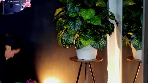 Noah  online show from 04.10.26