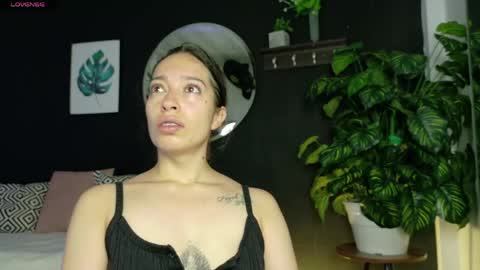 Noah  online show from 04.12.26