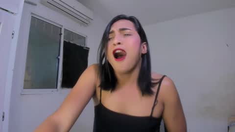 Noah online show from 03.08.25