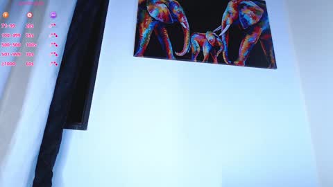 Noah  online show from 12.11.24