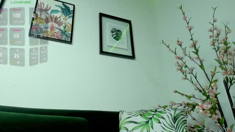 Noah  online show from 01.25.25