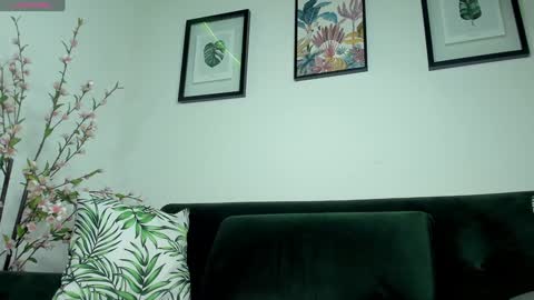 Noah  online show from 01.27.25