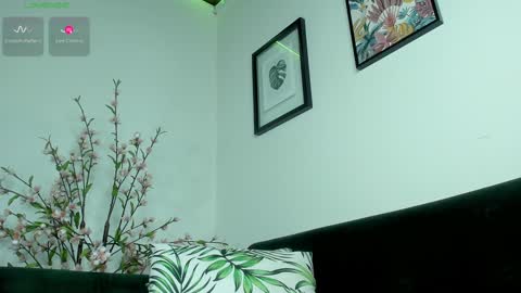 Noah  online show from 01.27.25