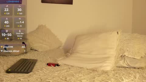 Noah online show from 01.15.25