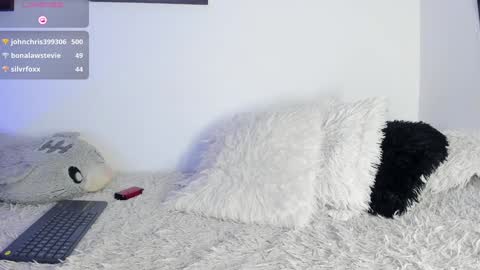 Noah online show from 01.20.25