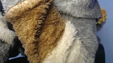 Noah Millers online show from 01.23.25