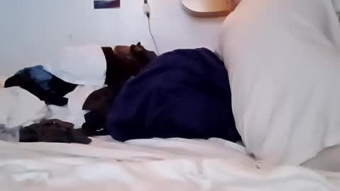 Snapshot of noah_wesley chatting on 01.18.25 Noah Wesley online show from 01.18.25