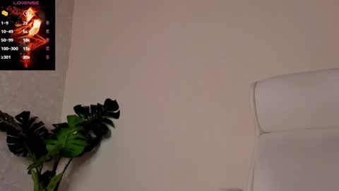 Noah online show from 12.30.24