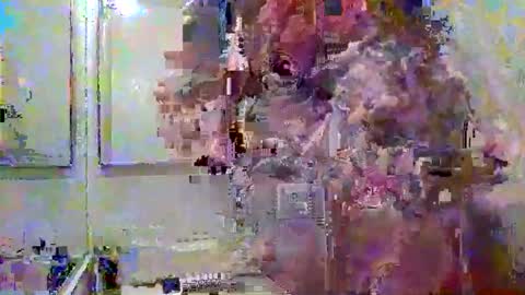 noboundariesinprivate online show from 03.18.26