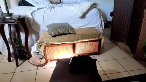 Snapshot of nobudget06 chatting on 02.16.25 nobudget06 online show from 02.16.25