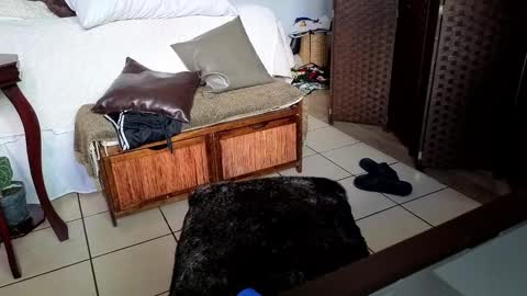 Snapshot of nobudget06 chatting on 02.25.25 nobudget06 online show from 02.25.25