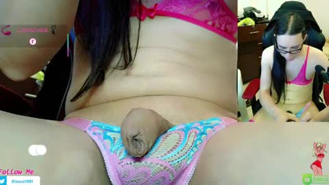 Nicol online show from 03.31.26