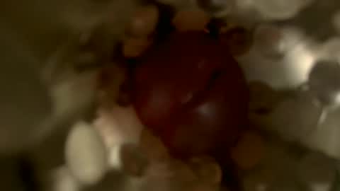 Snapshot of nocturnusfuz chatting on 01.30.25 nocturnusfuz online show from 01.30.25