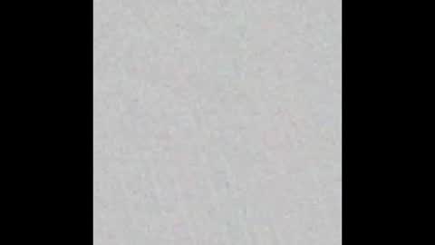 Snapshot of noemie_fox chatting on 01.11.26 Nomie Fox online show from 01.11.26